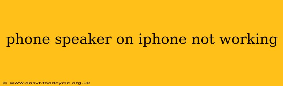 phone speaker on iphone not working