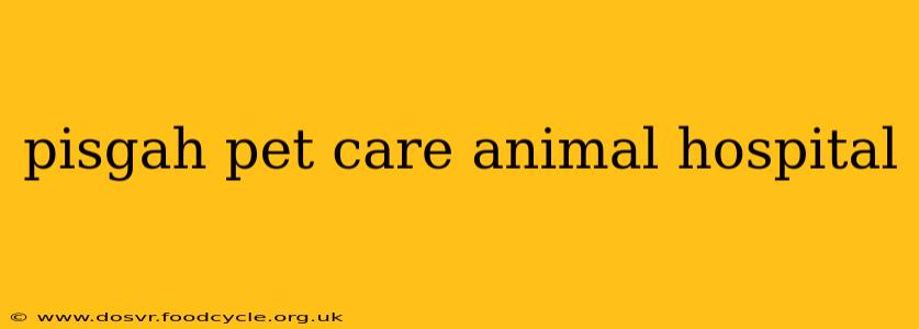 pisgah pet care animal hospital