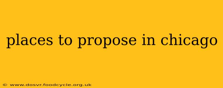 places to propose in chicago