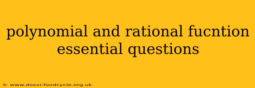 polynomial and rational fucntion essential questions