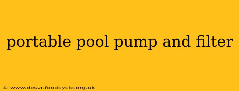 portable pool pump and filter