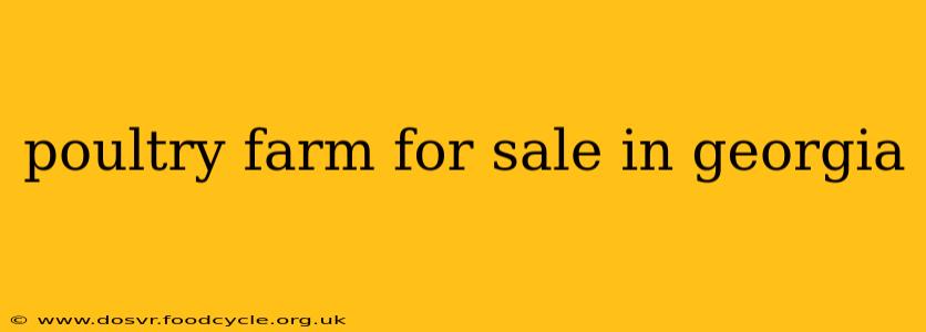 poultry farm for sale in georgia