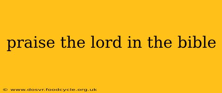 praise the lord in the bible