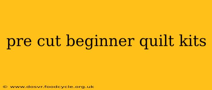 pre cut beginner quilt kits