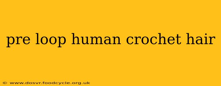 pre loop human crochet hair