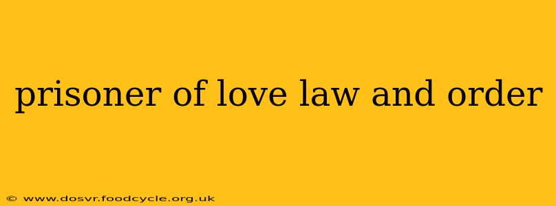 prisoner of love law and order