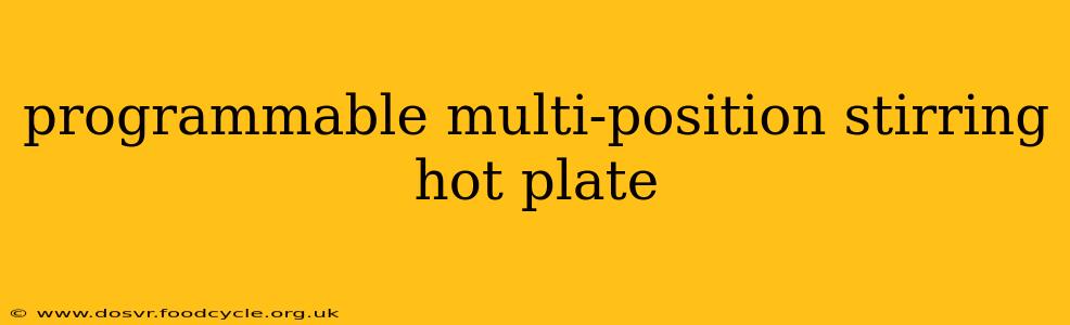 programmable multi-position stirring hot plate