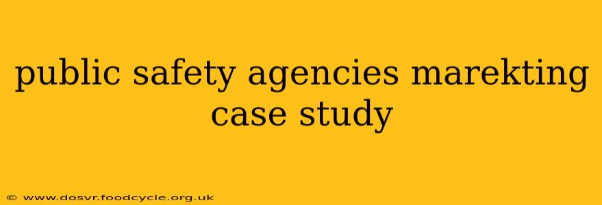 public safety agencies marekting case study