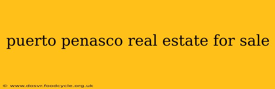 puerto penasco real estate for sale