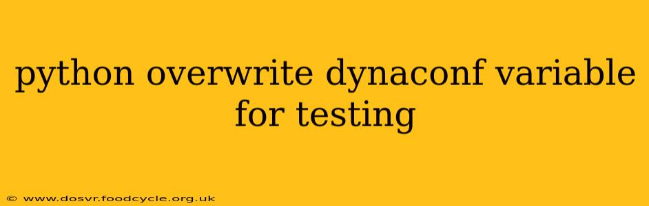 python overwrite dynaconf variable for testing