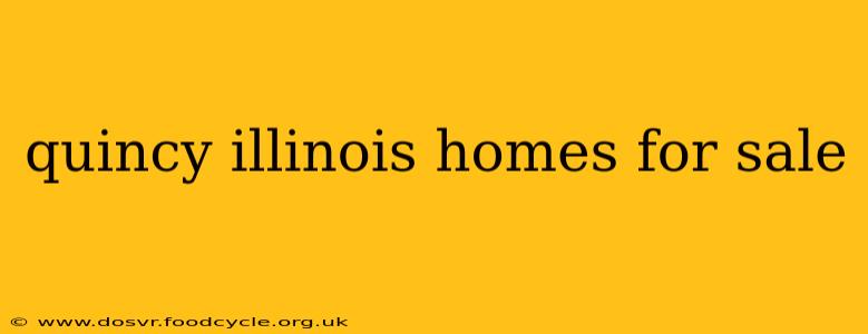 quincy illinois homes for sale