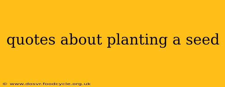 quotes about planting a seed