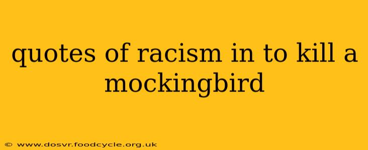 quotes of racism in to kill a mockingbird