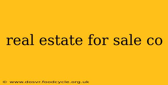 real estate for sale co