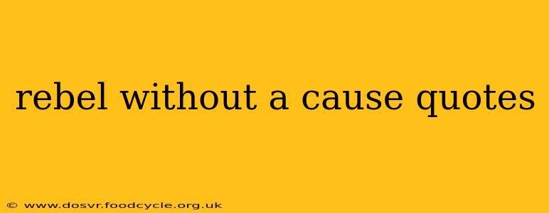 rebel without a cause quotes