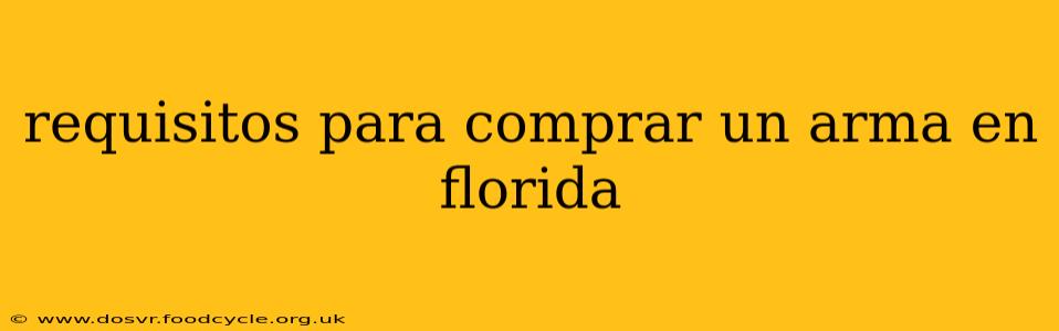 requisitos para comprar un arma en florida