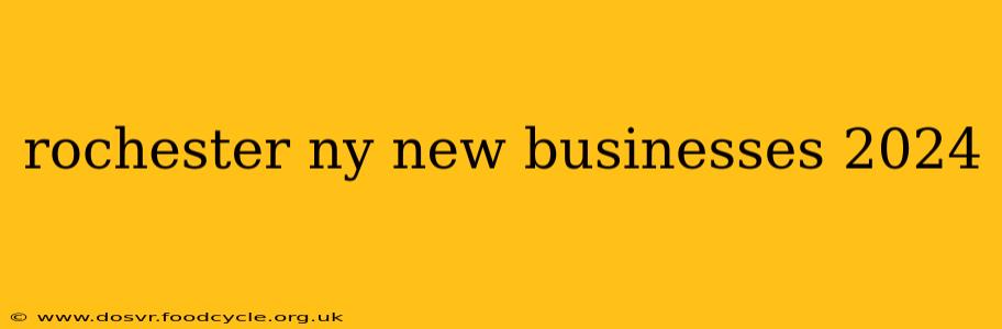 rochester ny new businesses 2024