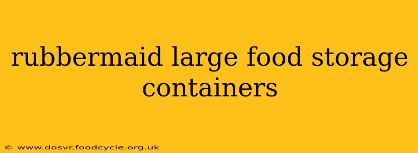 rubbermaid large food storage containers