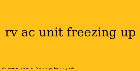rv ac unit freezing up