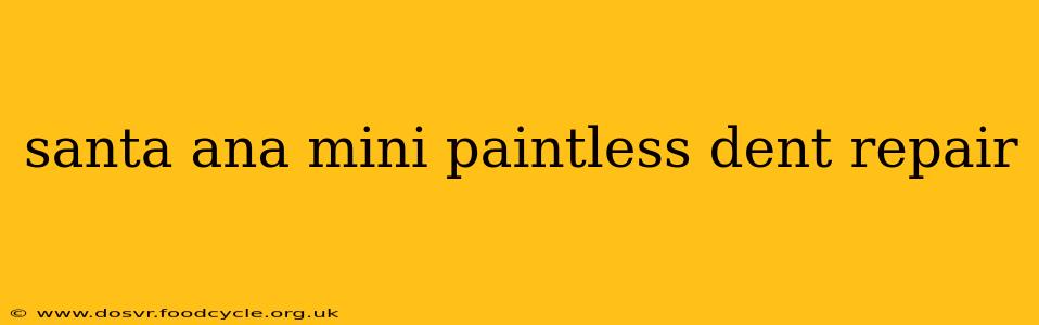 santa ana mini paintless dent repair