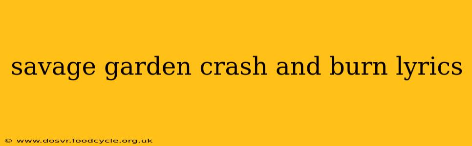 savage garden crash and burn lyrics