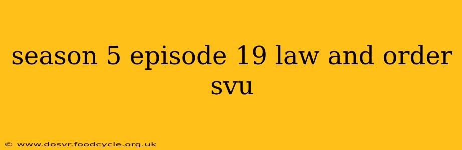 season 5 episode 19 law and order svu