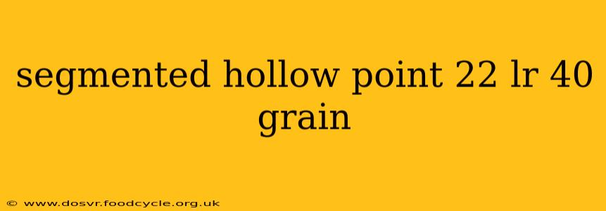segmented hollow point 22 lr 40 grain