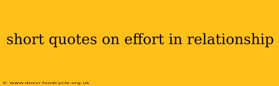 short quotes on effort in relationship