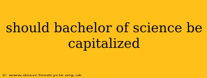 should bachelor of science be capitalized