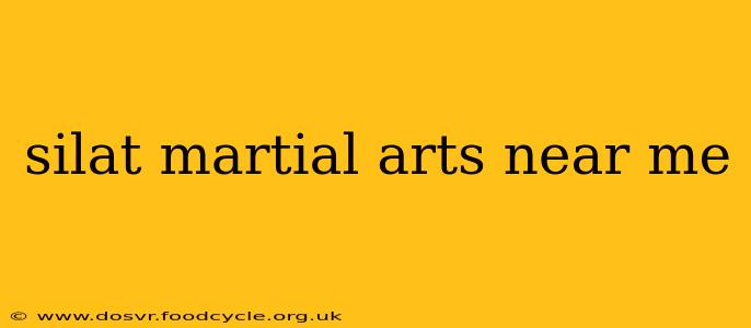silat martial arts near me