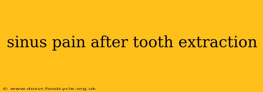 sinus pain after tooth extraction