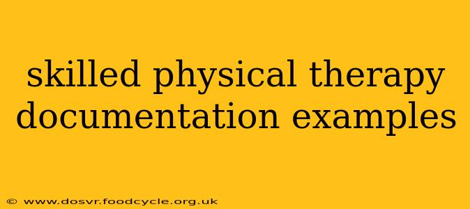 skilled physical therapy documentation examples
