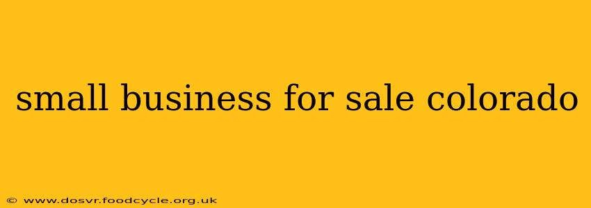 small business for sale colorado