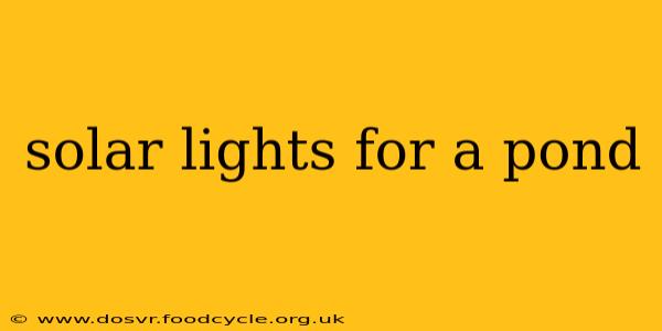 solar lights for a pond