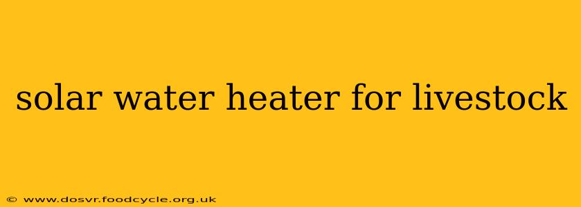 solar water heater for livestock
