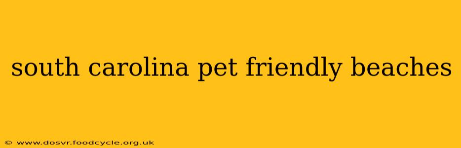 south carolina pet friendly beaches