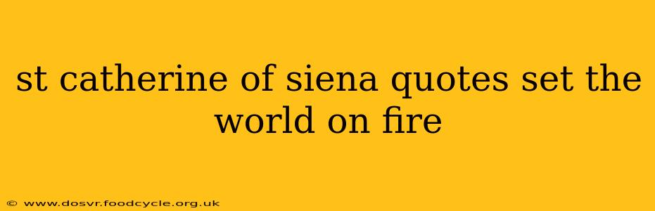 st catherine of siena quotes set the world on fire