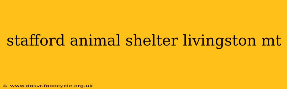 stafford animal shelter livingston mt