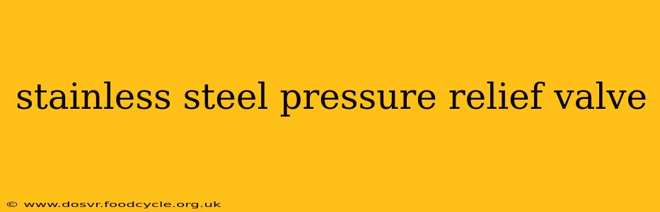 stainless steel pressure relief valve