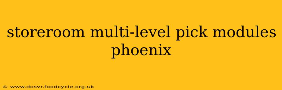 storeroom multi-level pick modules phoenix