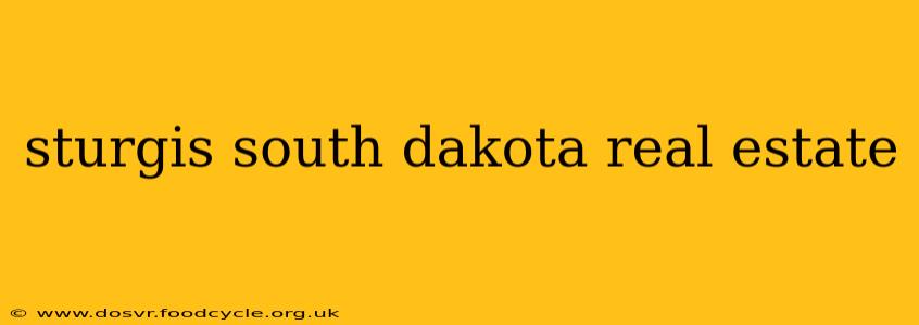 sturgis south dakota real estate