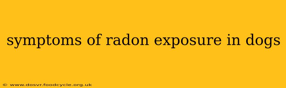 symptoms of radon exposure in dogs