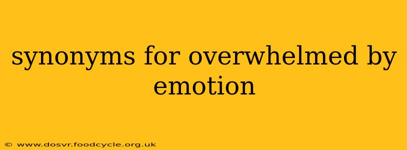 synonyms for overwhelmed by emotion