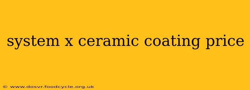system x ceramic coating price
