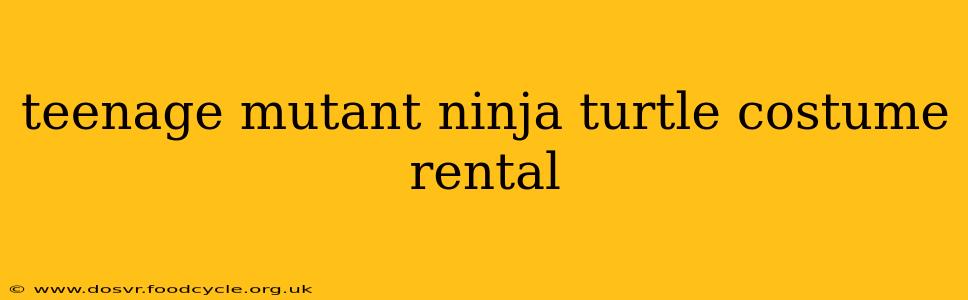 teenage mutant ninja turtle costume rental