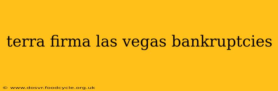 terra firma las vegas bankruptcies