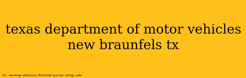 texas department of motor vehicles new braunfels tx