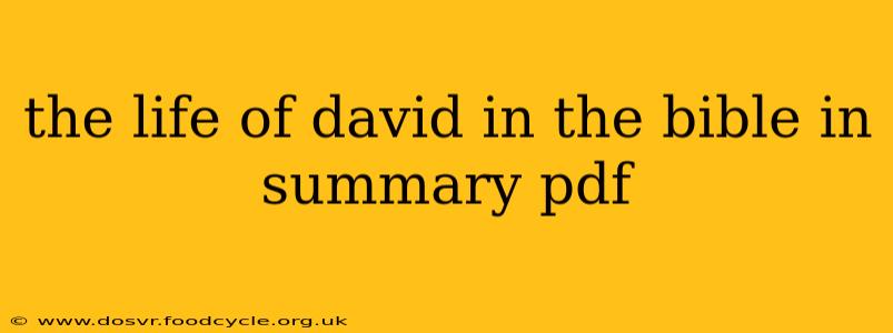 the life of david in the bible in summary pdf
