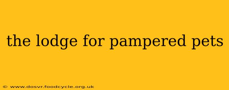 the lodge for pampered pets