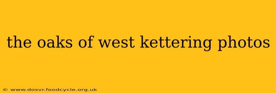 the oaks of west kettering photos
